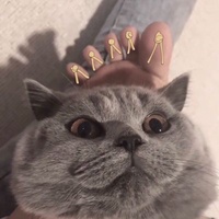 瓜田雷达