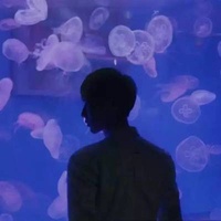 网红情报站